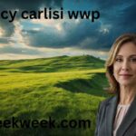 tracy carlisi wwp