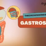 gastroshiza