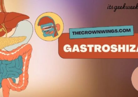 gastroshiza