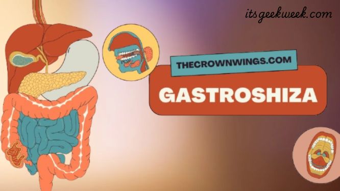 gastroshiza