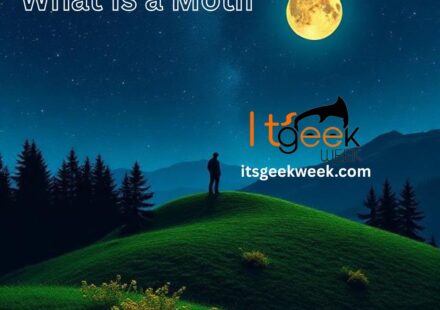 What Is a Motif