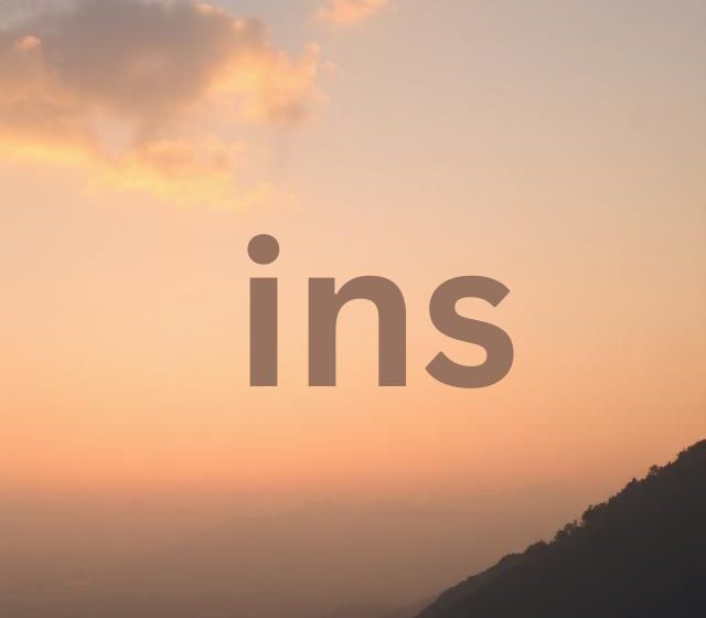 i̇ns