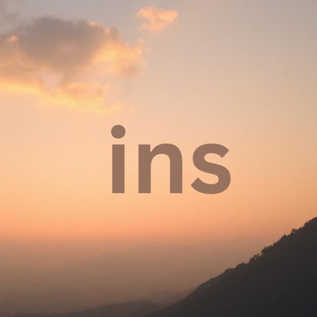 i̇ns
