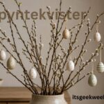 pyntekvister